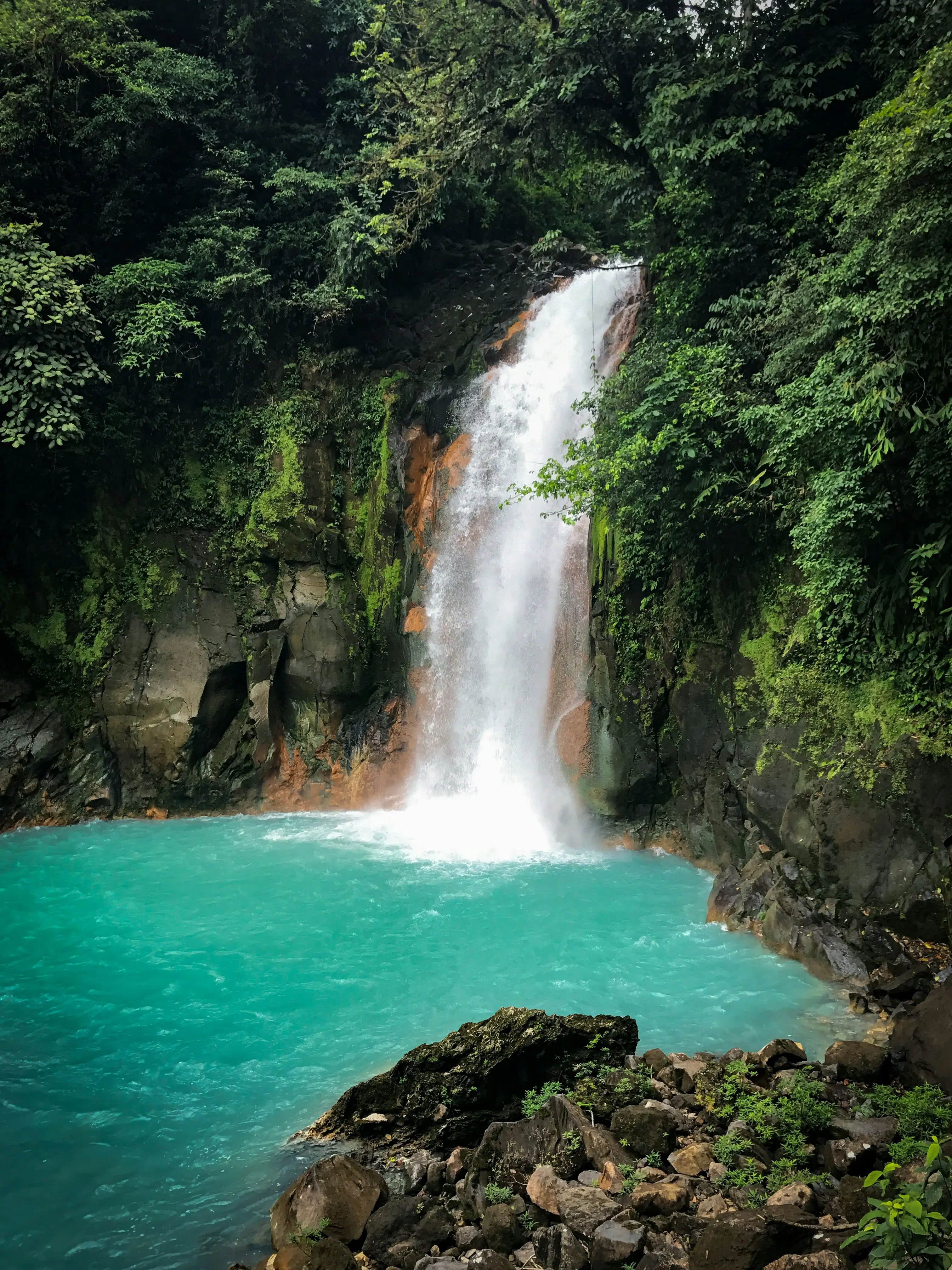 Waterfall falling into a turquoise pool in dense Costa Rican rainforest