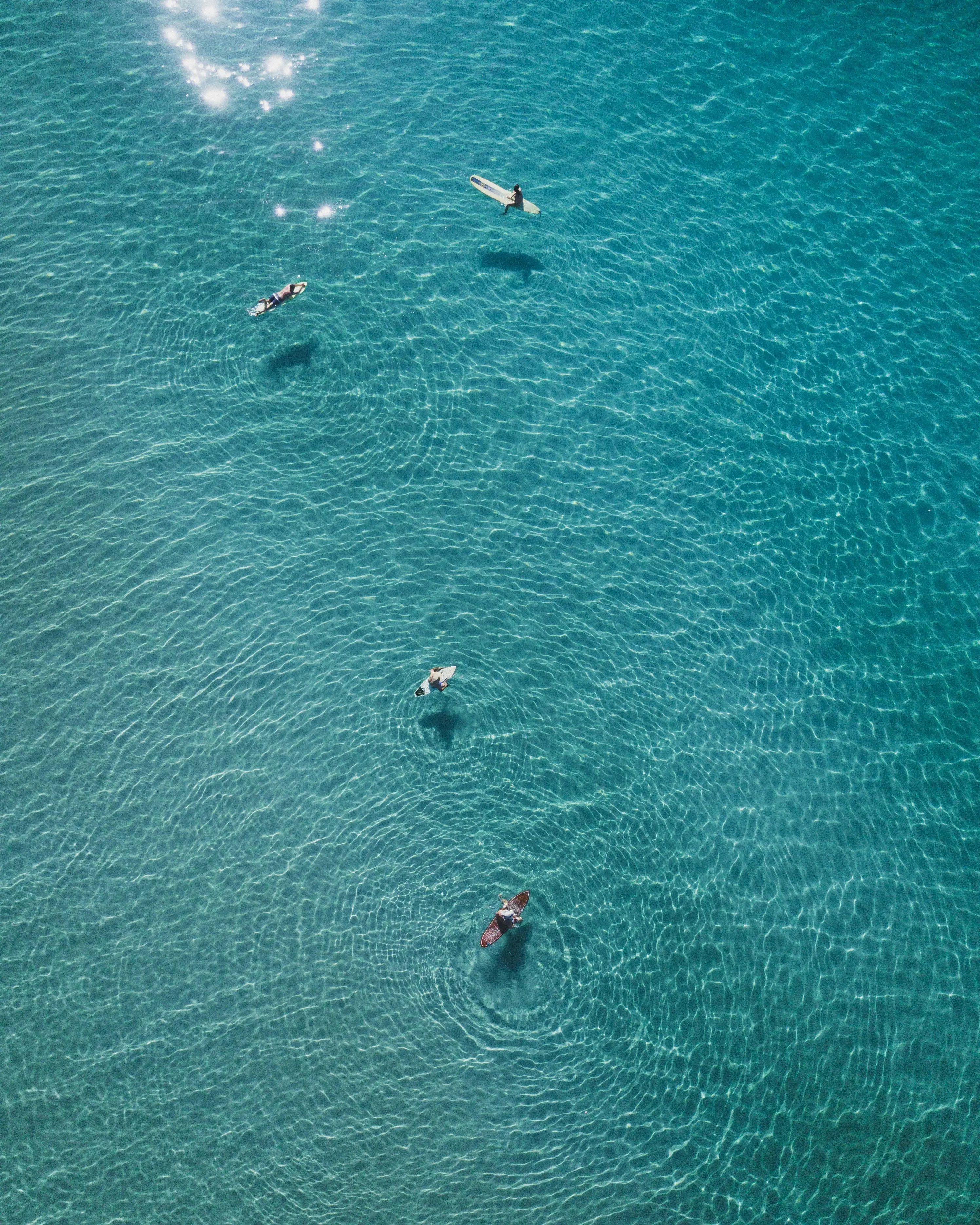 Surfers waiting in a turquoise line-up, seen from directly above